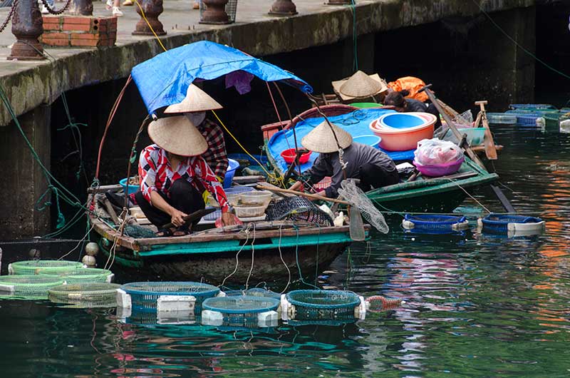 46 - Vietnam - Bahia de Halong - comercio flotante